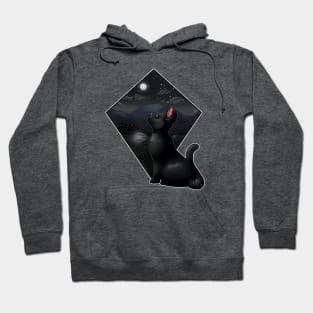 Night Dreaming Hoodie